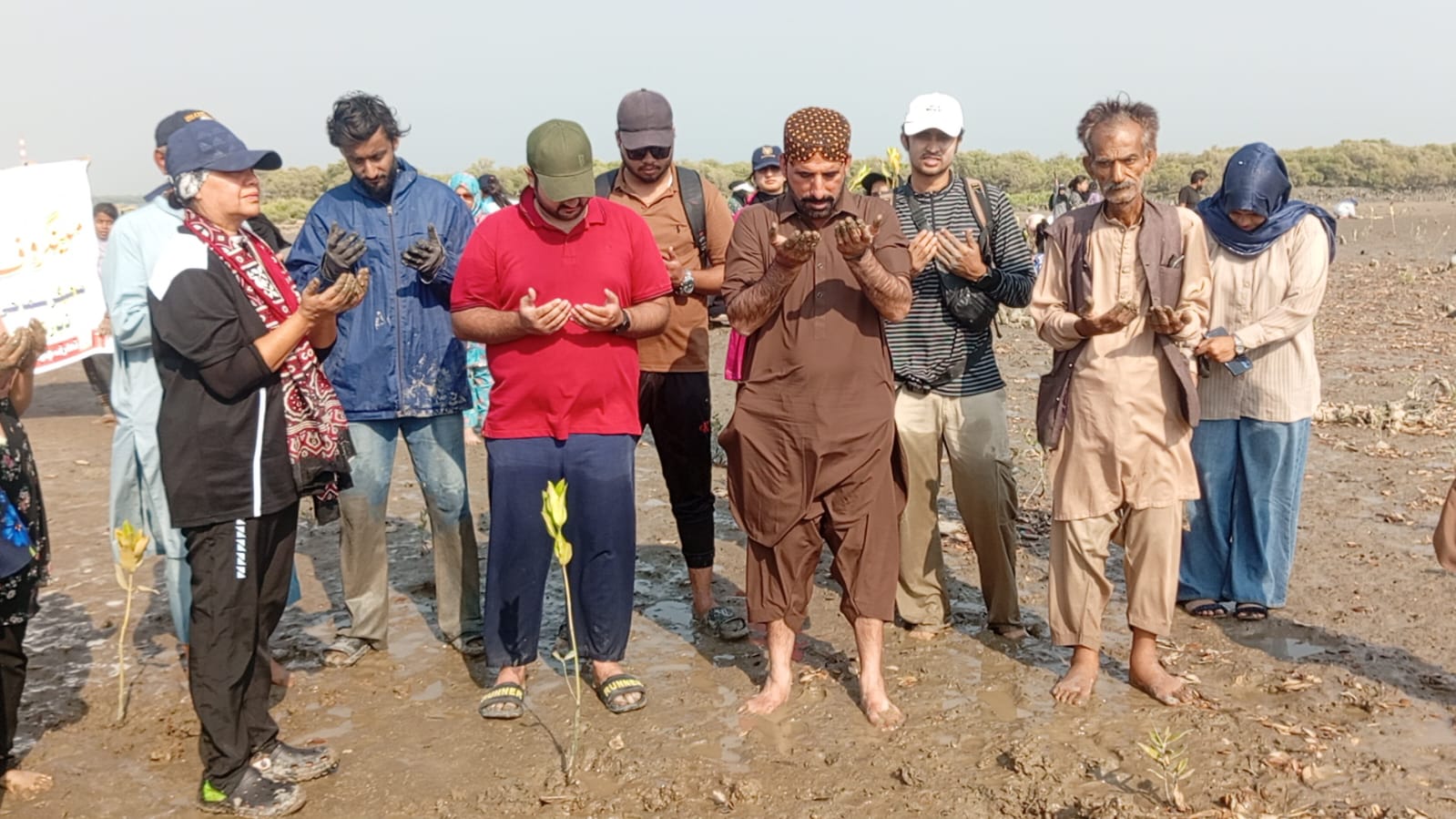 ڪورنگي ڪريڪ ڀرسان ڪڏيرو ٻيٽ تي وڻڪاري، 2 هزار تمر جا ٻوٽا لڳايا ويا