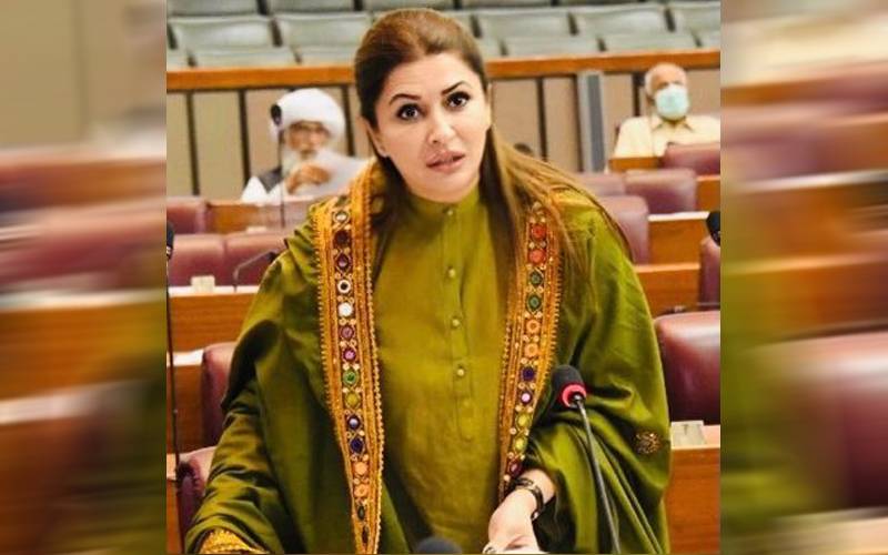 وزیرِاعظم نے 27ویں ترمیم پر پیپلز پارٹی سے حمایت طلب کی: شازیہ مری