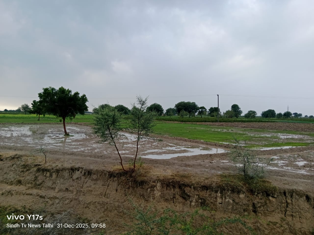 ٽالهي ۽ ڀرپاسي سياري جو پهريون وسڪارو، ٿڌ ۾ واڌ