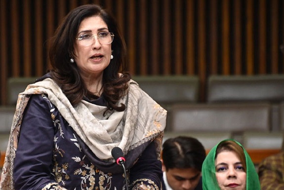 آگ پر سیاست نہیں کرنی چاہیے، سندھ واحد صوبہ ہے جس نے کھلے دل سے مہاجرین کا استقبال کیا: شہلا رضا