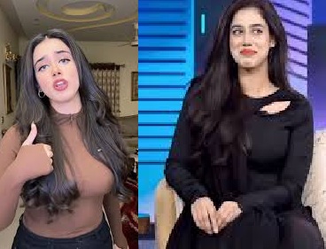 علینہ عامر کی مبينه نامناسب ویڈیو لیک، ٹک ٹاکر نے حقیقت بتا دی