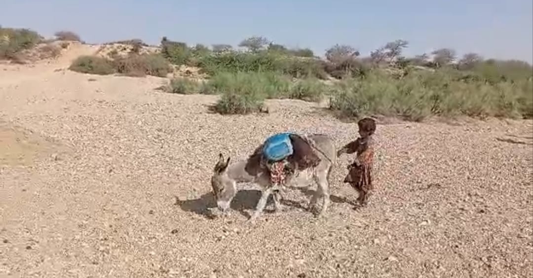 ڊي سي ٺٽو جي صدارت هيٺ اهم اجلاس ٿي گذريو