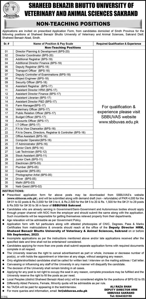 Jobs In shaheed benazir bhutto university of veterinary and animal sciences sakrand