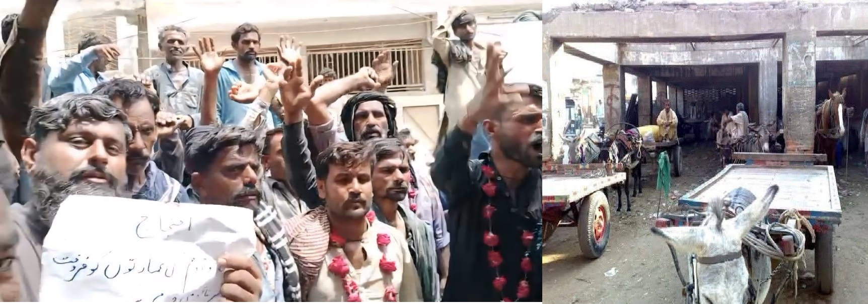 Donkey Cart Owners of Tando Adam Protest Demolition of Old Stand