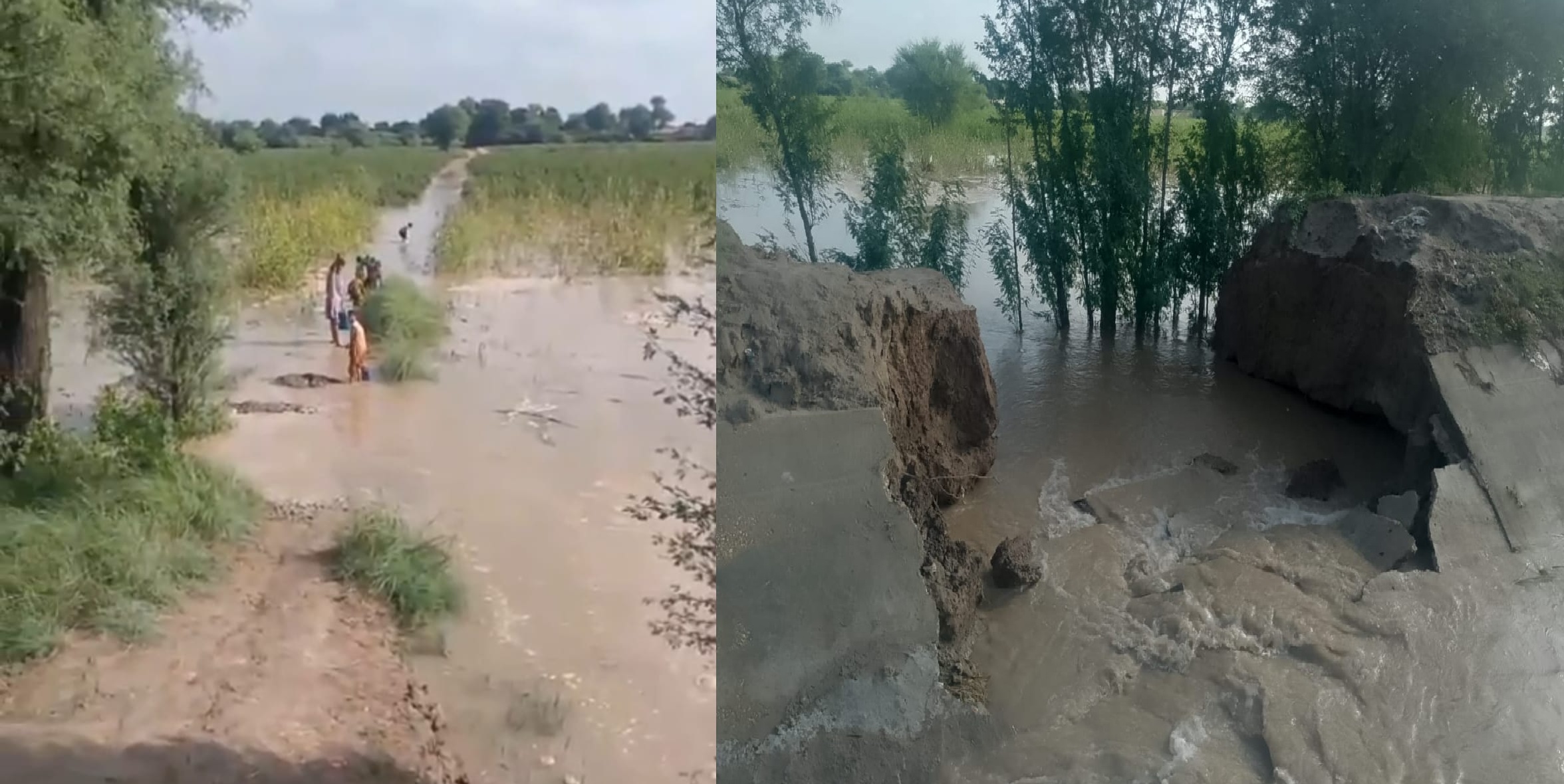 Breach in Sui Kandar Canal Inundates Dozens of Acres in Tando Adam