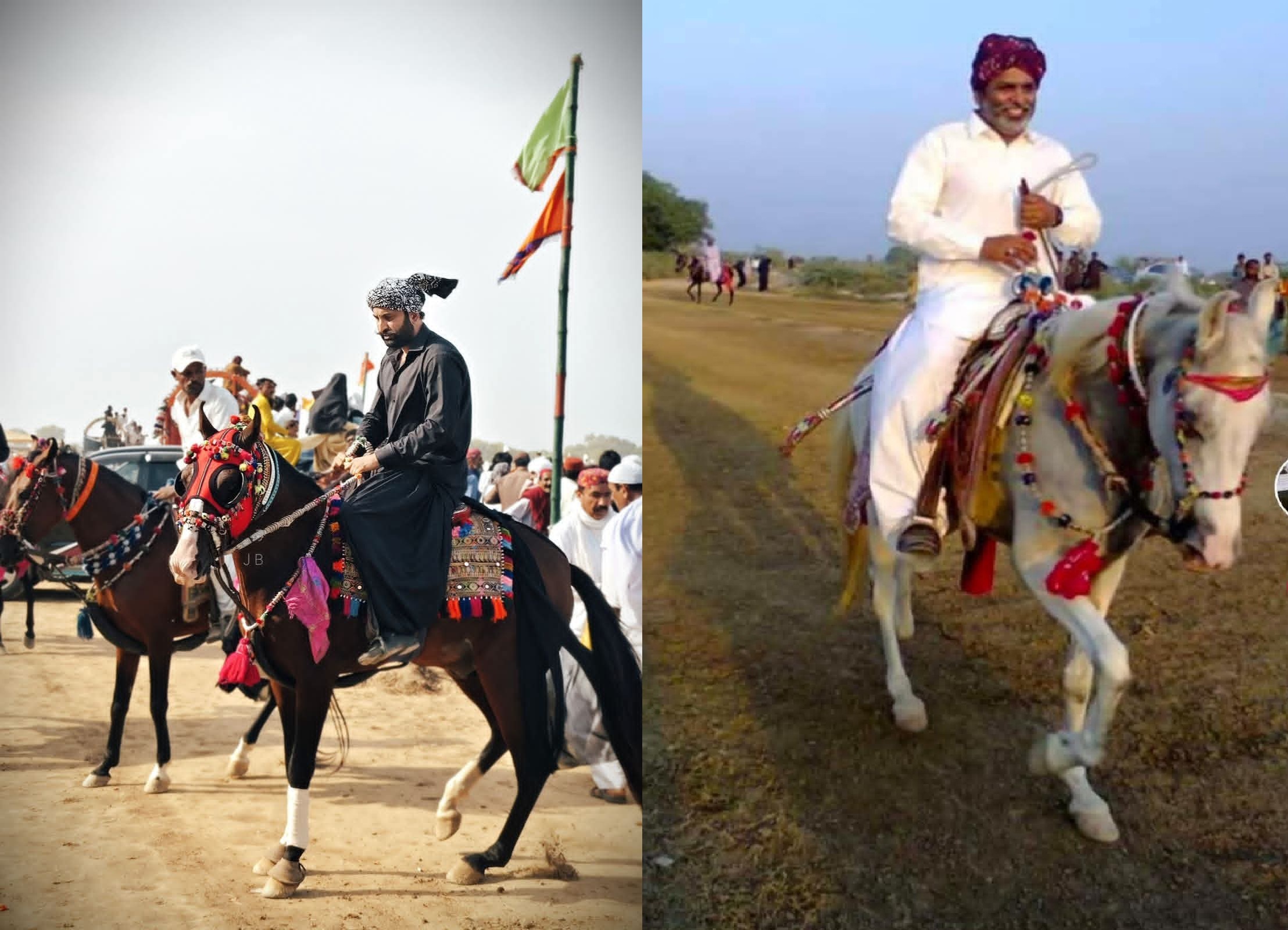 Traditional Sindhi Horse Breed Facing Extinction Amid Modernization