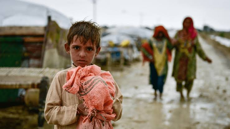 سندھ میں سیلاب متاثرین کے بجائے کسی اور کے مکانات بنائے جارہے ہیں، چیئرمین قائمہ کمیٹی