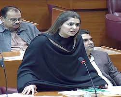 نہریں نکالنے کے منصوبے کیخلاف قرارداد ایجنڈے میں شامل نہ کرنے پر پیپلزپارٹی کا قومی اسمبلی میں احتجاج