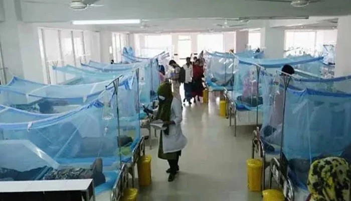 کراچی سمیت سندھ بھر میں ملیریا تیزی سے پھیلنے لگا، 16 ہزار 700 سے زائد کیس رپورٹ