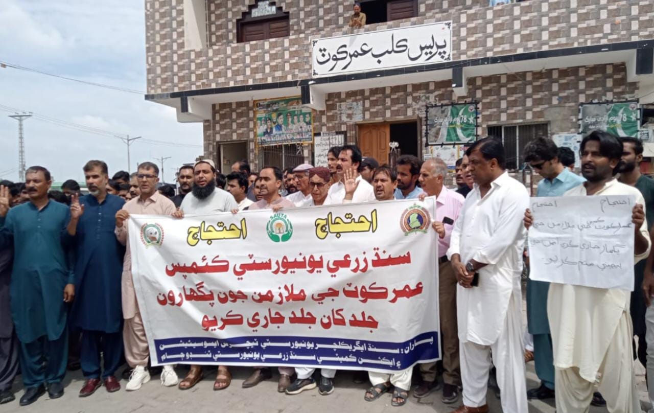 عمرڪوٽ ۾سنڌ زرعي يونيورسٽي سب ڪئمپس جي استادن ۽ ملازمن پاران احتجاج
