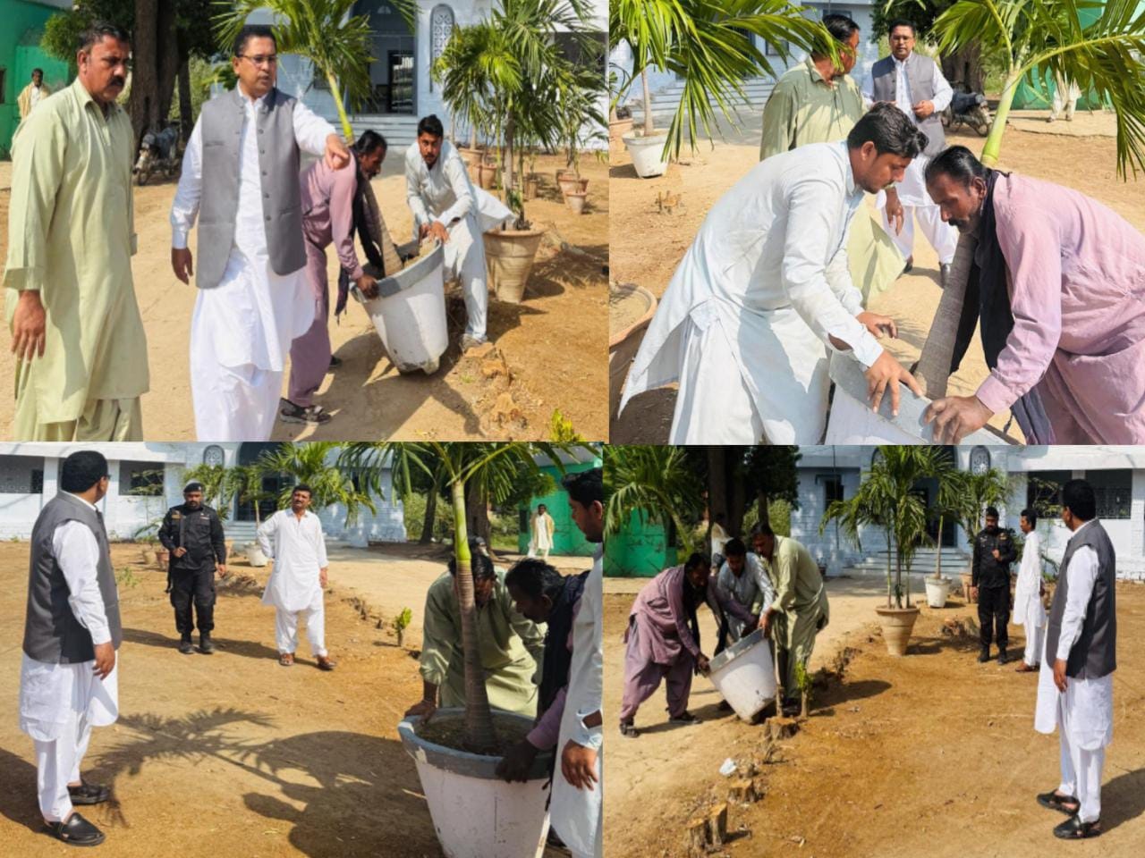 گهارو جي اي سي آفيس جي احاطي ۾ ٻوٽا لڳائي وڻڪاري مهم جو افتتاح