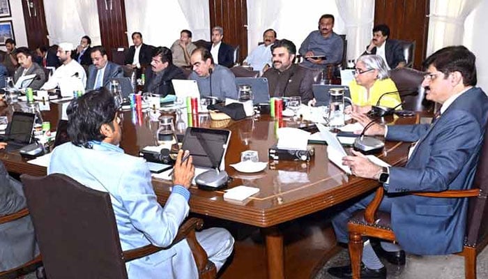 رواں سال سندھ میں 22 لاکھ ایکڑ اراضی پر گندم کی کاشت کا ہدف، 55 ارب روپے کا خصوصی پیکیج منظور