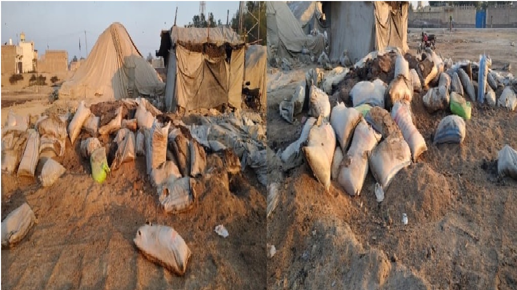 ھڱورجا فوڊ سينيٽر تي رکيل ڪڻڪ جون هزارين ٻوريون خراب ٿيڻ لڳيون