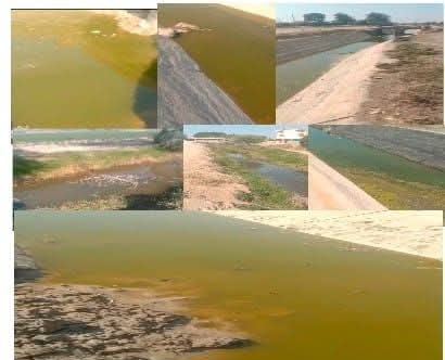 ٺٽي جي مين گٽر توڙي سم نالن جو زھريلو گندو پاڻي گھار مساڻ شاخ ۾ ڇوڙ