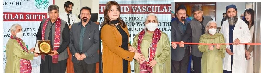 ڄنگهه ۽ ٻانهن ڪٽڻ بدران سرجري ڪنداسين: ڊاڪٽر عذرا پيچوهو