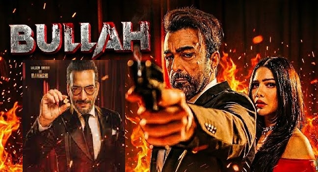 پنجابی ایکشن فلم ”بلھا“ نے دو دن میں دو کروڑ سے زائد کا بزنس کر لیا