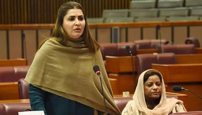 بلاول کا فارم 45 سے متعلق بیان درحقیقت عوام کو آگاہ کرنا تھا کہ آپ کا مینڈیٹ چوری ہو رہا ہے: شازیہ مری