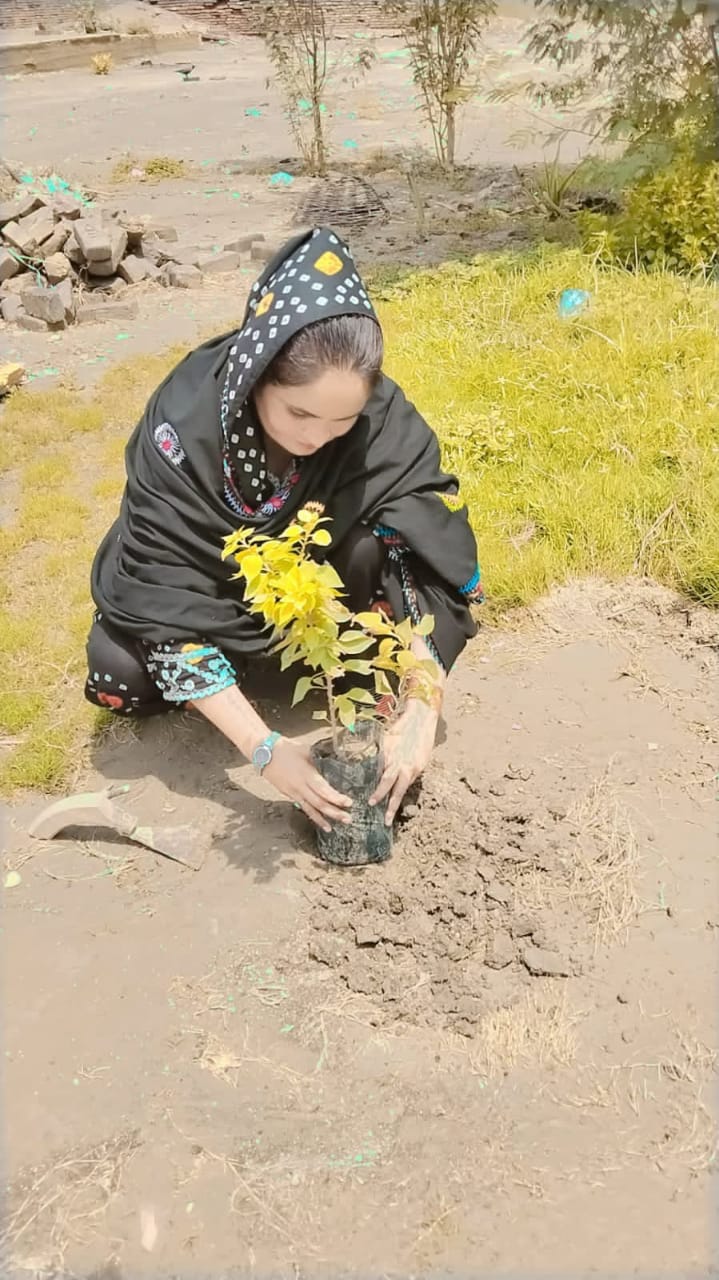 سانوڻيءَ جي موسم ۾ شجرڪاري مهم جي شروعات